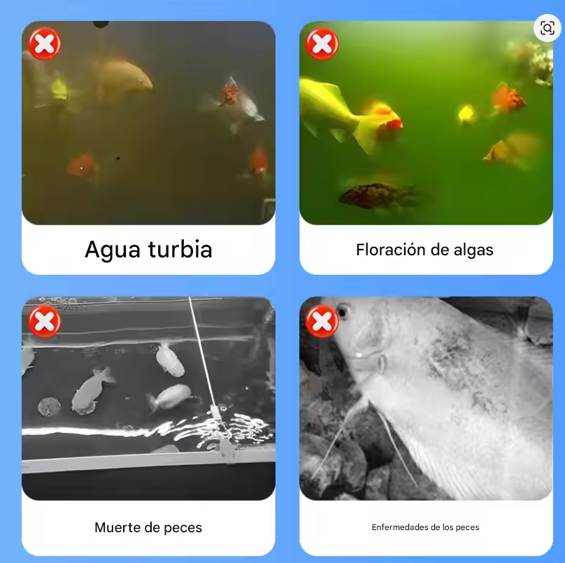 AquaClear Bio® – Agua cristalina y peces sanos en solo 48 horas